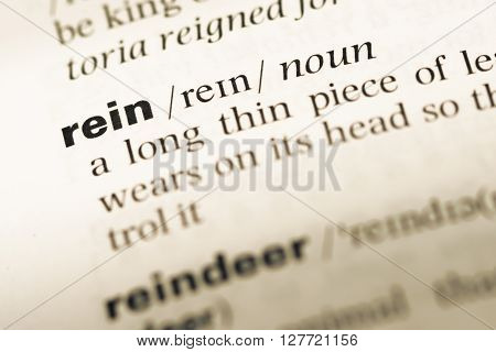 Close Up Of Old English Dictionary Page With Word Rein.