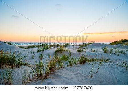 View On Sand Dunes Of Liepaja Beach