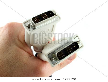 19 Pin D Computer kabel Held In de Hand
