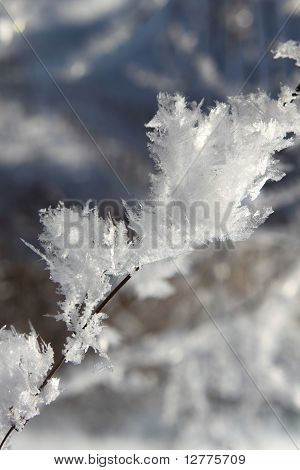 cristallo di neve