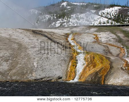 Parco nazionale di Yellowstone