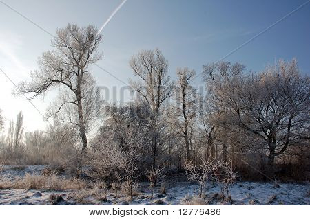 Winterliche Landschaft mit Fluss und Bäume 8