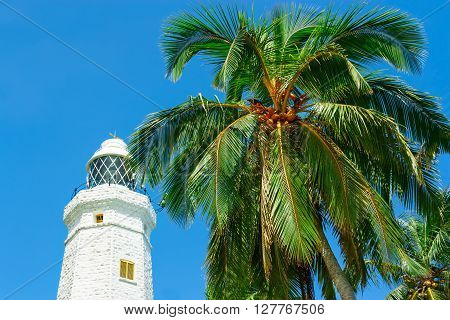White lighthouse Dondra Head and tropical palms Sri Lanka near Matara.