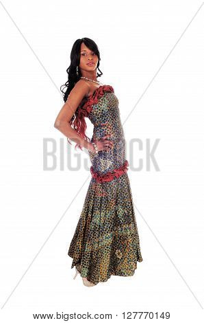 A gorgeous African American woman standing in an African long dress and black hair in profile isolated for white background.