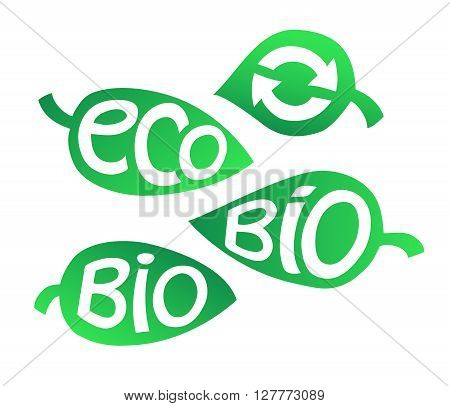 Hand drawn colorful set of Eco labels. Ecology Inscriptions on leaf shape. Vector illustration.
