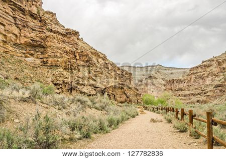 Well-maintained hiking or walking trail with gorgeous scenery on all sides
