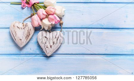 Romantic background. Tender white and pink spring tulips and two ecorative hearts on blue wooden background. Selective focus. Place for text.