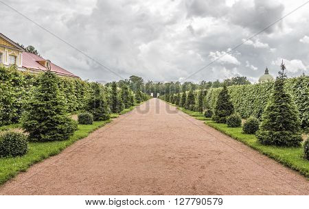 Beautiful orange park alley with decorative trees on the sides