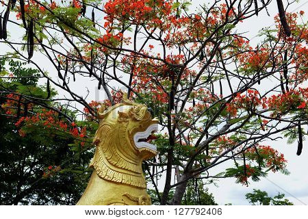 Asia Thailand Mae Hong Son