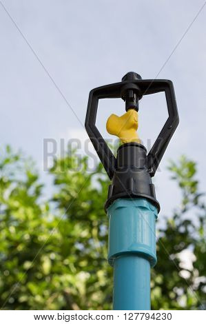 The sprinkler in the garden with blue sky