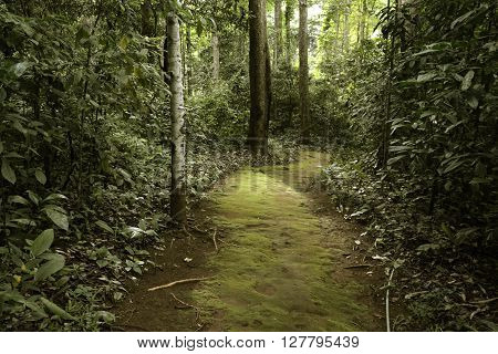 Asia Thailand Mae Hong Son Soppong