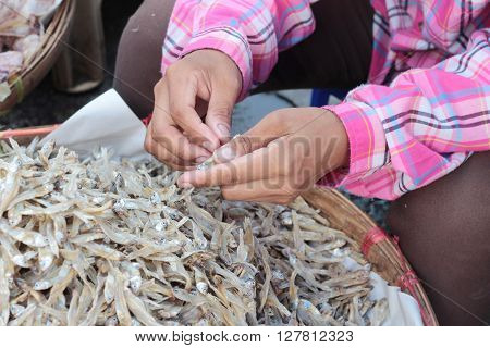 dried fish for cooking in the market