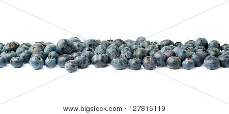 Line made of Ripe bilberry or blueberry over isolated white background