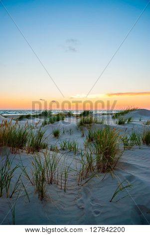 View On Sand Dunes Of Liepaja Beach