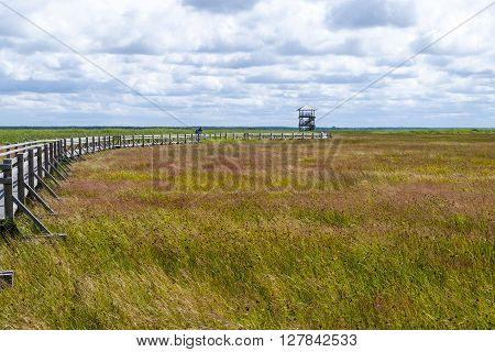 Bird Observatory At Liepaja Lake, Latvia