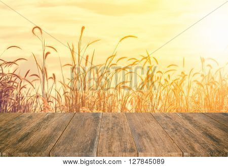 old wood texture with blur grass flower in the field background