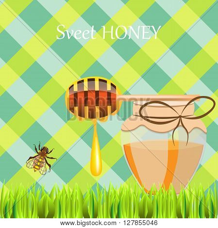 Honey On Plaid