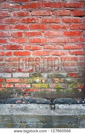 Old red brick wall vertical texture with part of concrete basement beneath and spot of dry lichen or moss