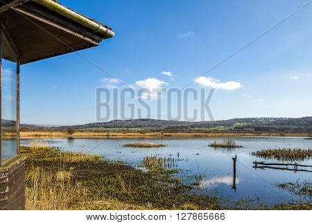 Bird hide overlooking marshland at Leighton Moss RSPB bird reserve in Lancashire, England on sunny day.