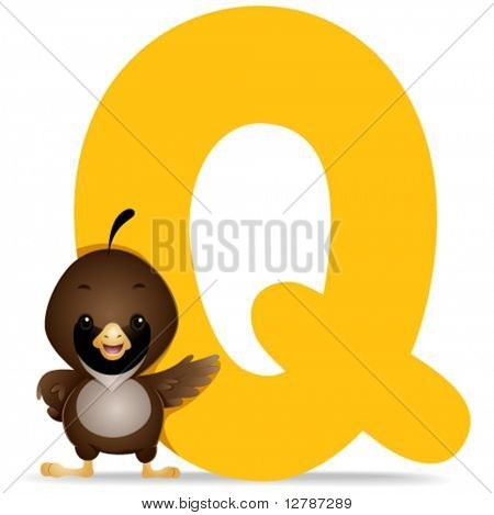 Q dla przepiórek - wektor