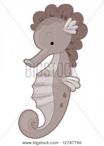 Cute Seahorse - Vector