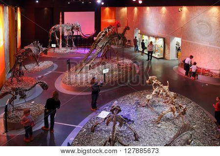 PERM RUSSIA - APR 4 2015: People and skeletons of dinosaurs in Museum of Local History