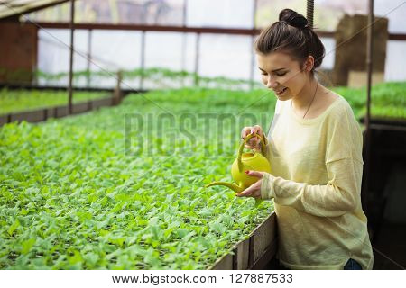 Young Farmer Girl Watering Green Seedlings In Greenhouse