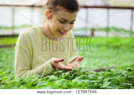 Farmer Girl Holding Green Seedlings In Sunny Greenhouse