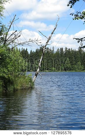 Pond in the Natural Preserve Kladska peats, Czech republic