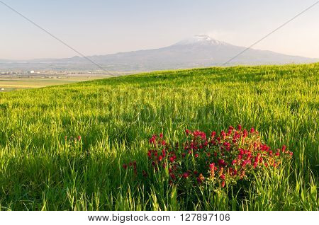 Landscape Of Sicily