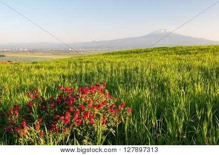 Landscape Of Sicily