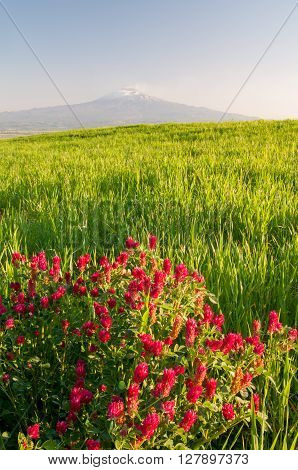 Landscape Of Sicily