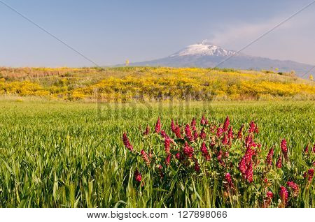 Landscape Of Sicily