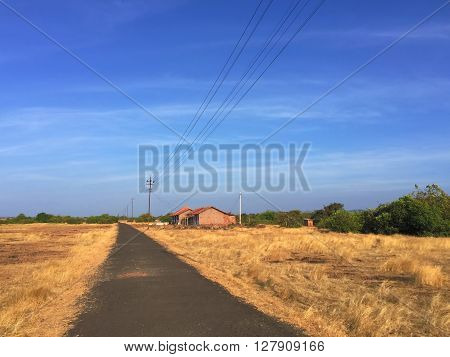 Yellow field and blue sky, road in Indian countryside