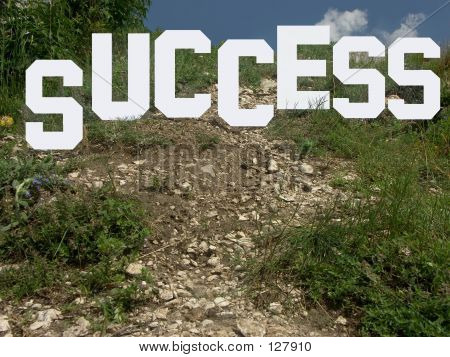 The Way To Success