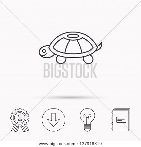 Turtle icon. Tortoise sign. Tortoiseshell symbol. Download arrow, lamp, learn book and award medal icons.