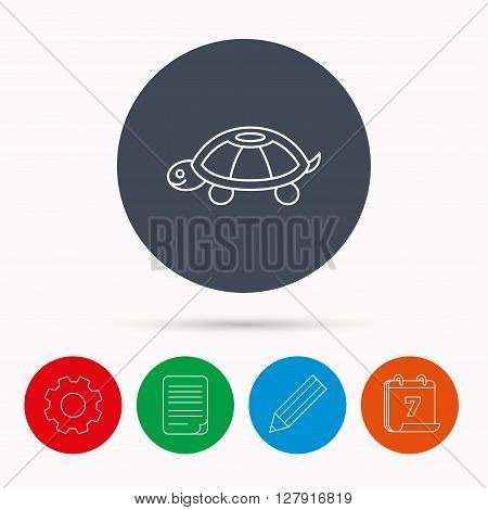 Turtle icon. Tortoise sign. Tortoiseshell symbol. Calendar, cogwheel, document file and pencil icons.