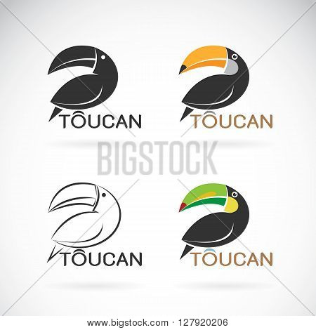 Vector image of an toucan bird design on white background