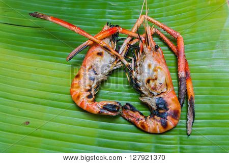 two Grilled giant freshwater prawn on green banana leaf background