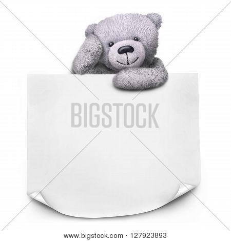 Grey teddy bear with sticker paper message template on white background isolated