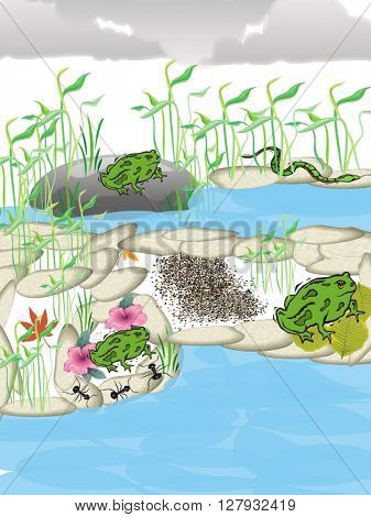graphic depicting a rural landescape decorated with a frog