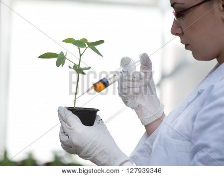 Scientist Pouring Chemistry Into Flower Pot