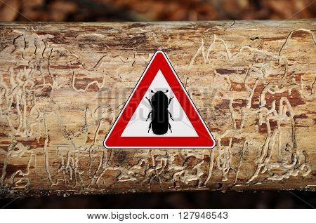 Colorful and crisp image of bark-beetle attention sign