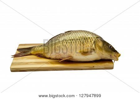 Fresh fish . Isolated on white background.