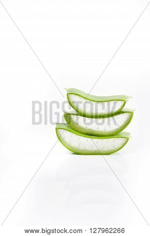 Aloe vera plant isolated on white background