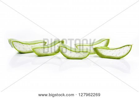 Aloe vera plant isolated on white background