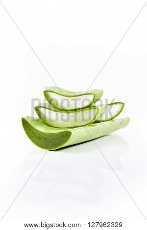 Aloe vera plant isolated on white background