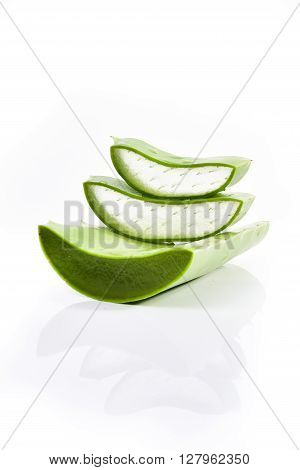 Aloe vera plant isolated on white background