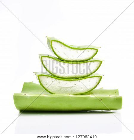 Aloe vera plant isolated on white background