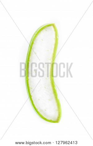 Aloe vera plant isolated on white background